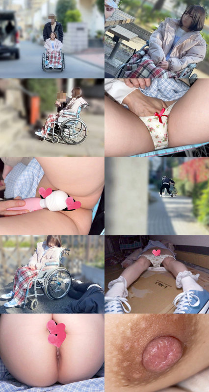 サンプル画像