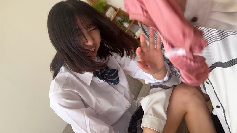 サンプル画像