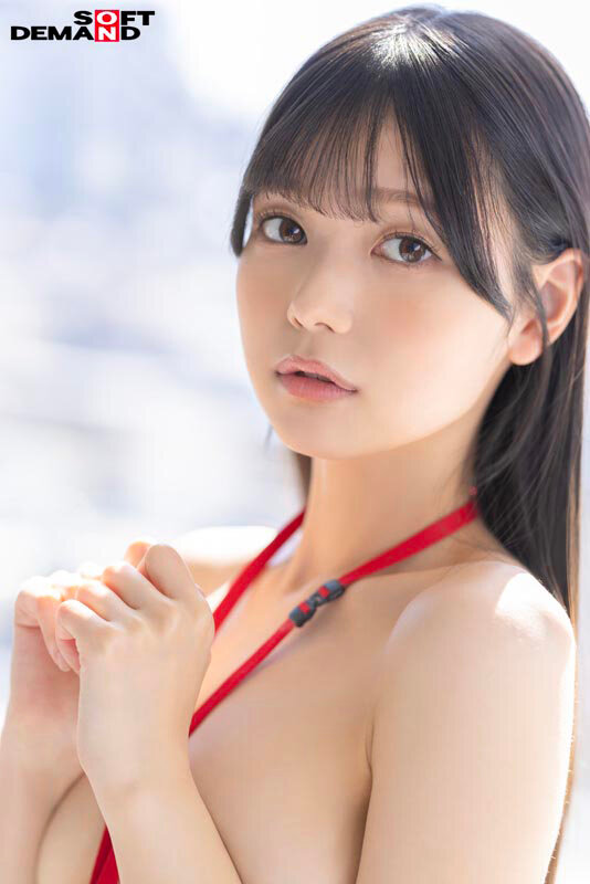 1sdjs00319