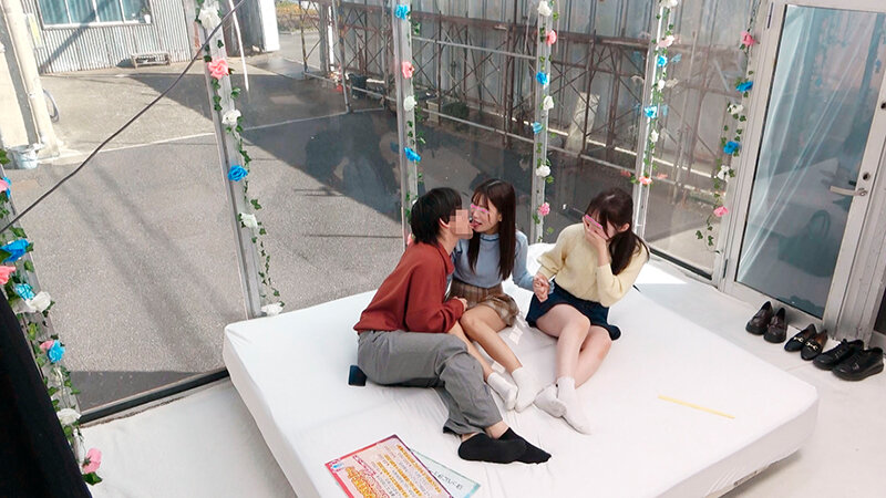 dvmm00246